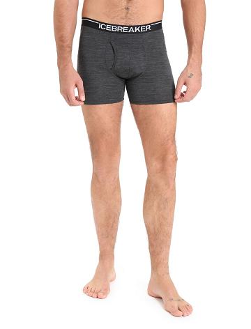 Men's Icebreaker Merino Anatomica Boxers With Fly Underwear Jet Heather | CA 1639GSOL